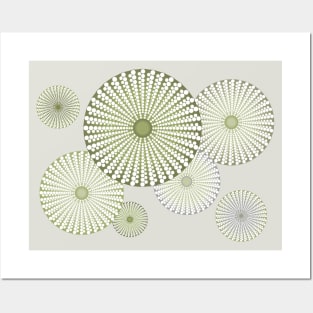 Sea Urchin | Kina | Abstract | Patterns in Nature | Sea Shells | Seashells | Sage Green | Posters and Art